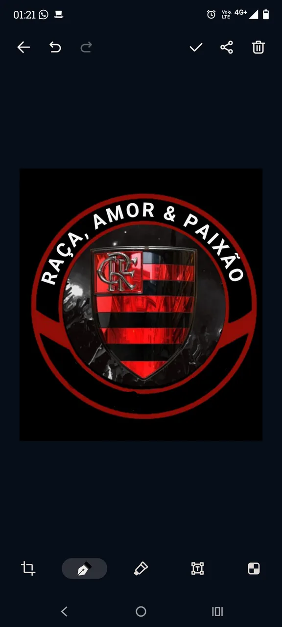 Imagem do grupo 🏆❤️🖤 RAÇA,AMOR &amp; PAIXÃO 🖤❤️🏆