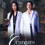 cranium gl novel