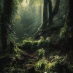 tarot e terapia